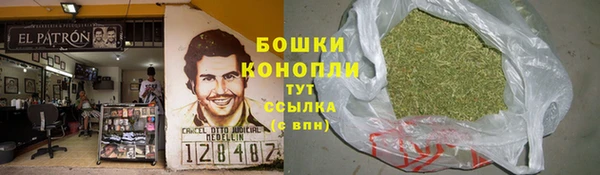 ГАЛЛЮЦИНОГЕННЫЕ ГРИБЫ Покровск