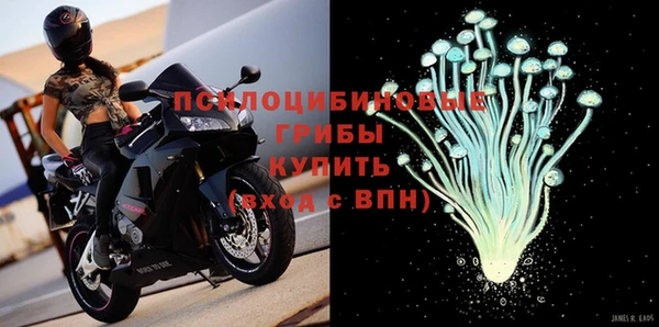 ГАЛЛЮЦИНОГЕННЫЕ ГРИБЫ Покровск