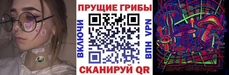 Галлюциногенные грибы MAGIC MUSHROOMS купить закладку кракен ONION Камень-на-Оби